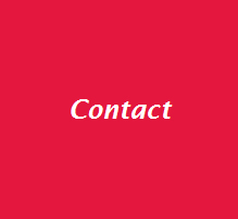 Dell'Amore contact information